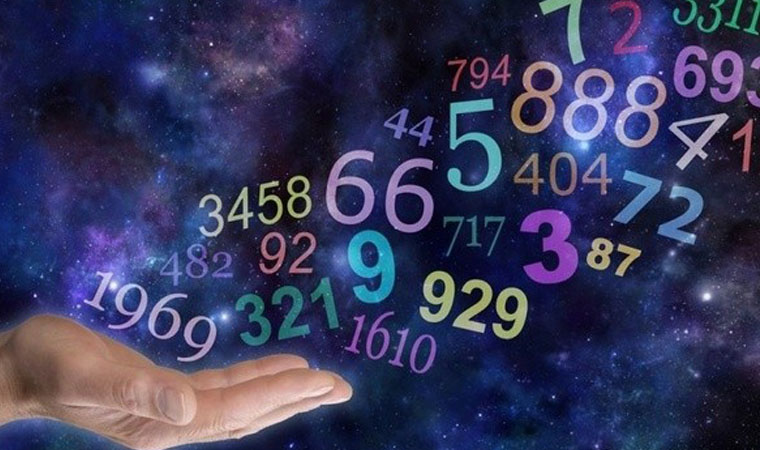 Numerology Expert
